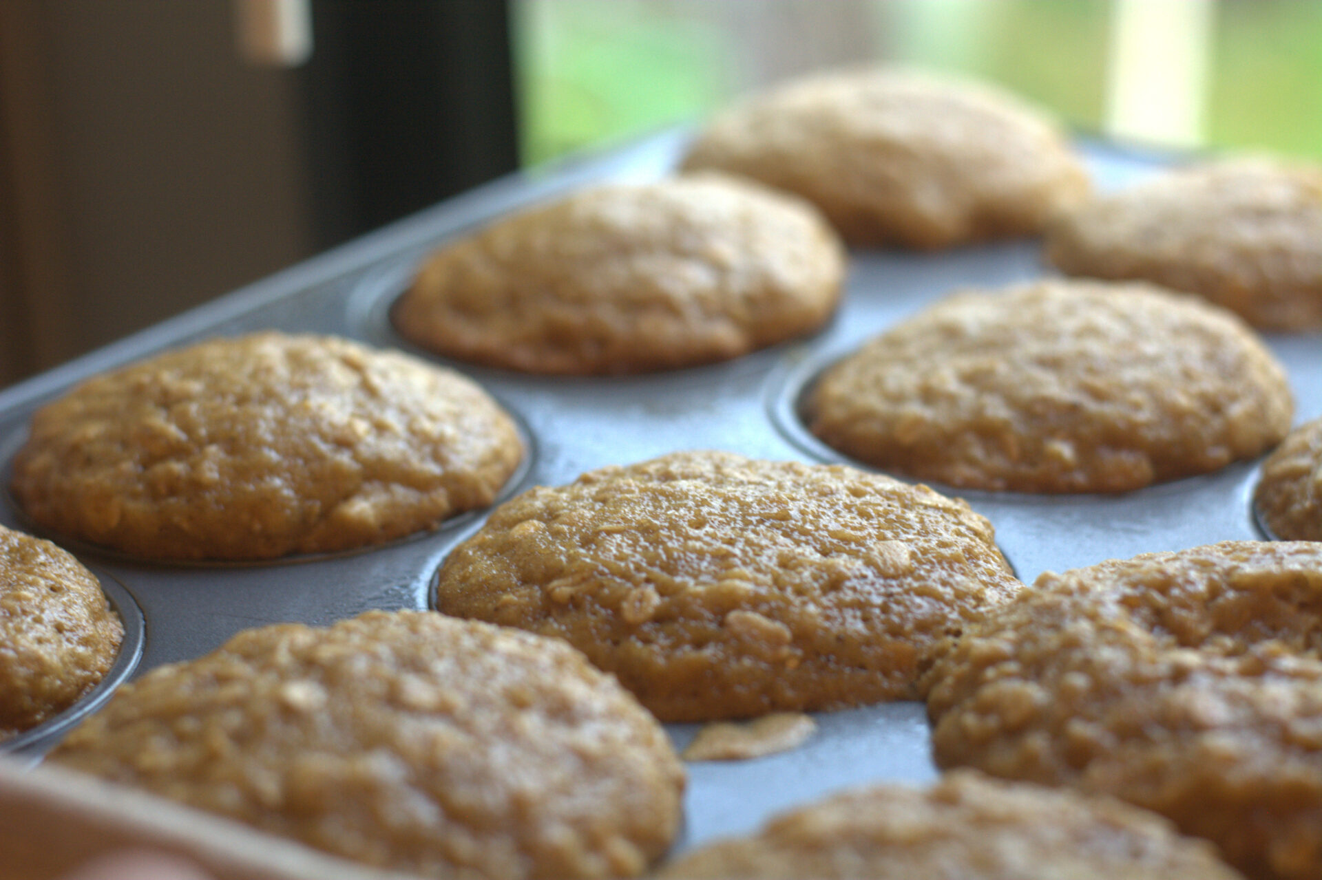 Sugar and Spice Oatmeal Muffins